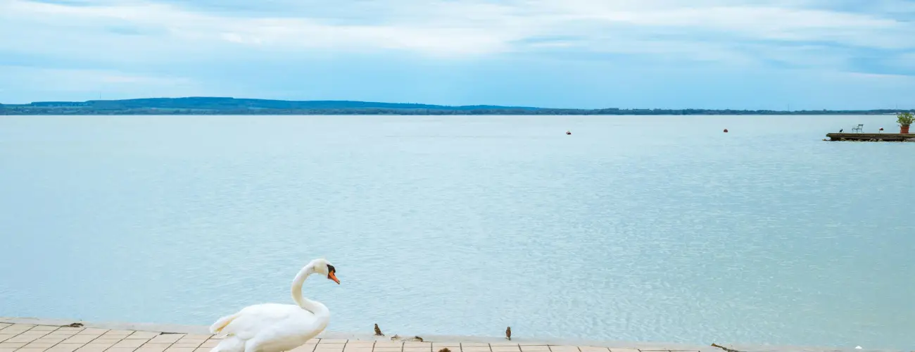 Hotel Ovit Keszthely - Termszetkzeli Majlis a Balaton s Hvz tallkozsnl (min. 2 j)